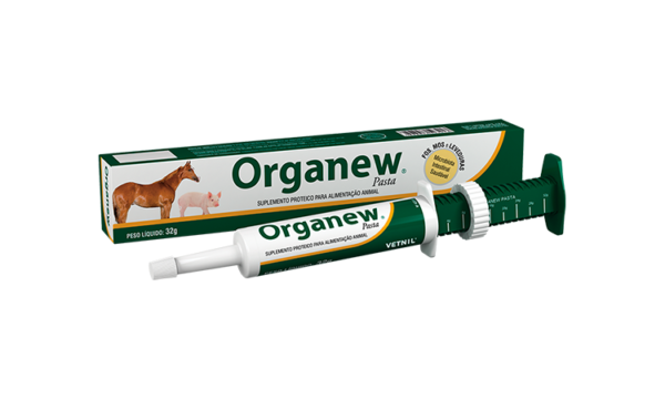 ORGANEW PASTA