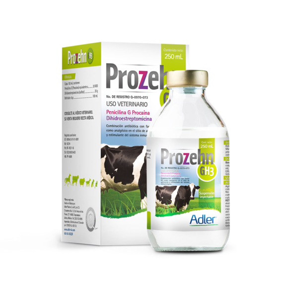 Prozehn GH3